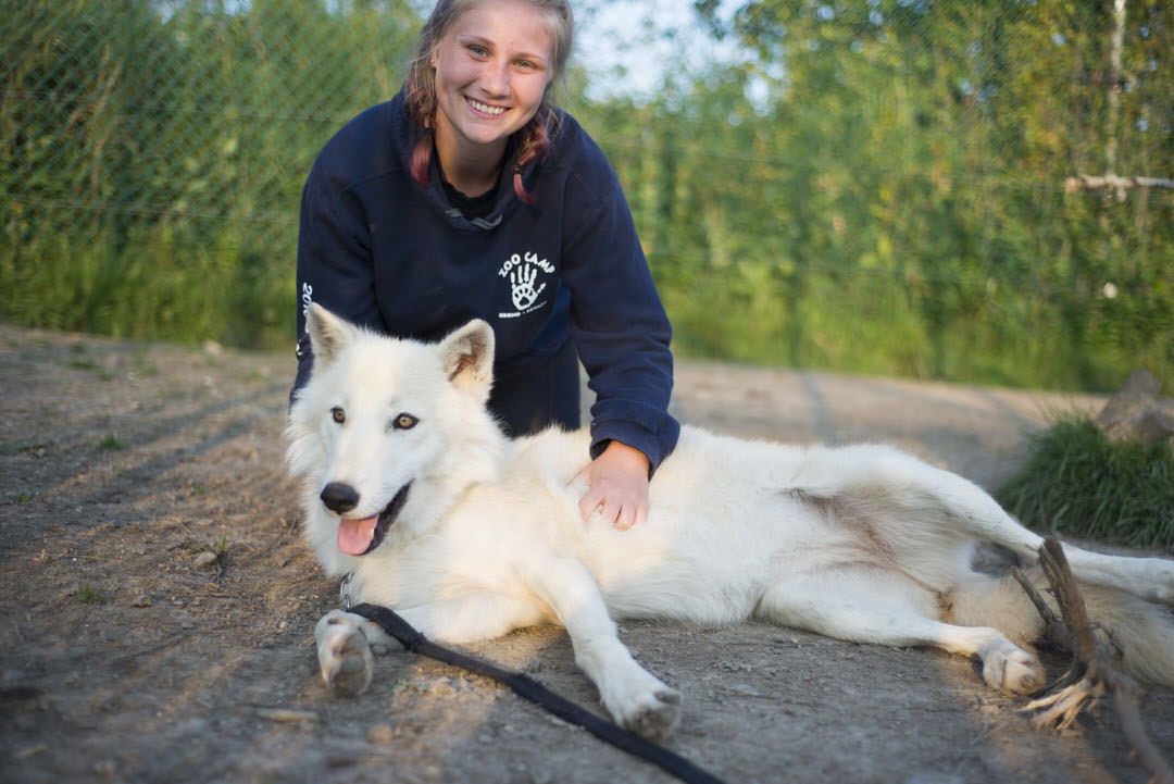 Jungle Cat World Wildlife Park Destination Ontario